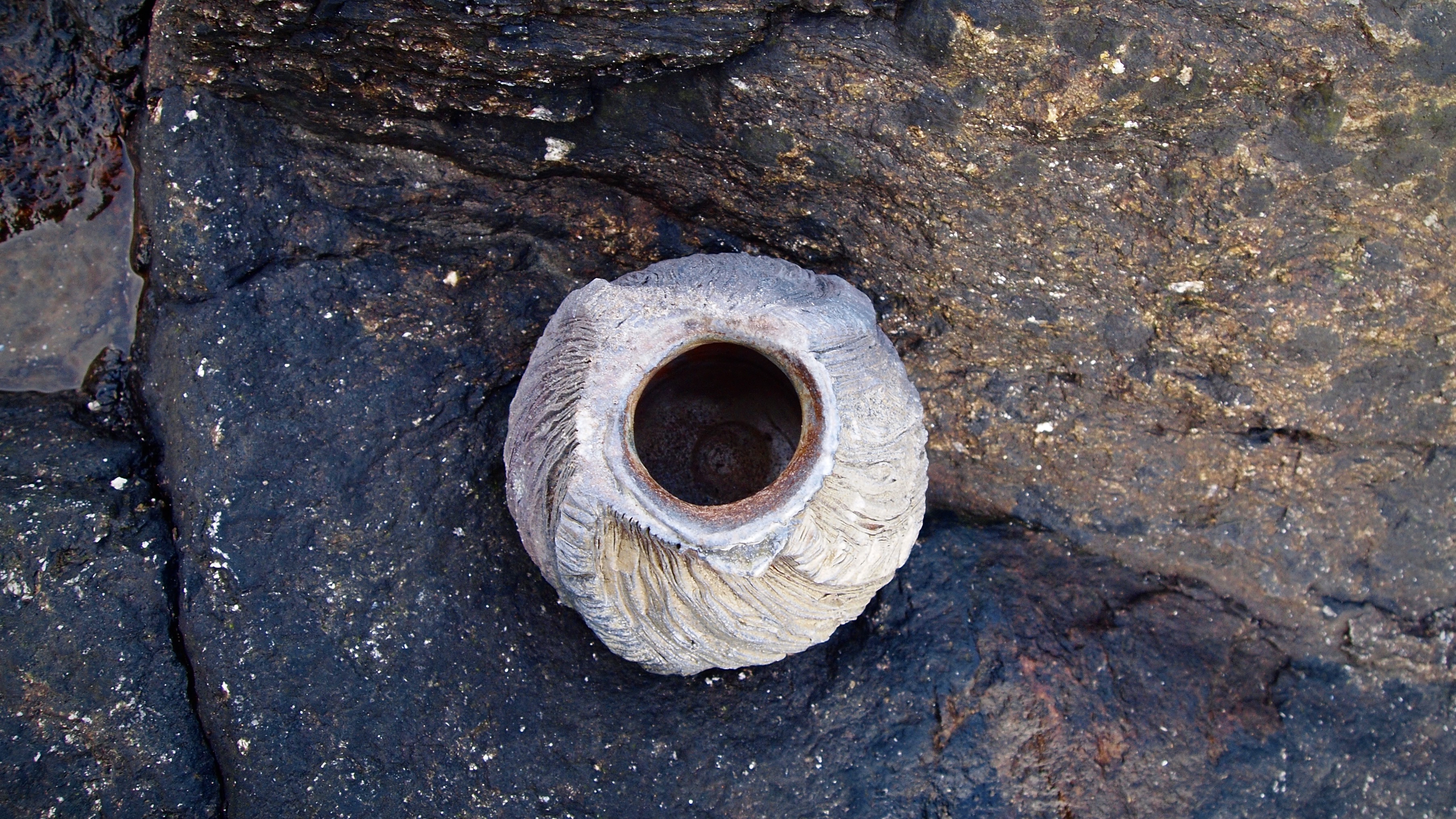 Creation process photo 1